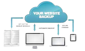 Daily Website Backups